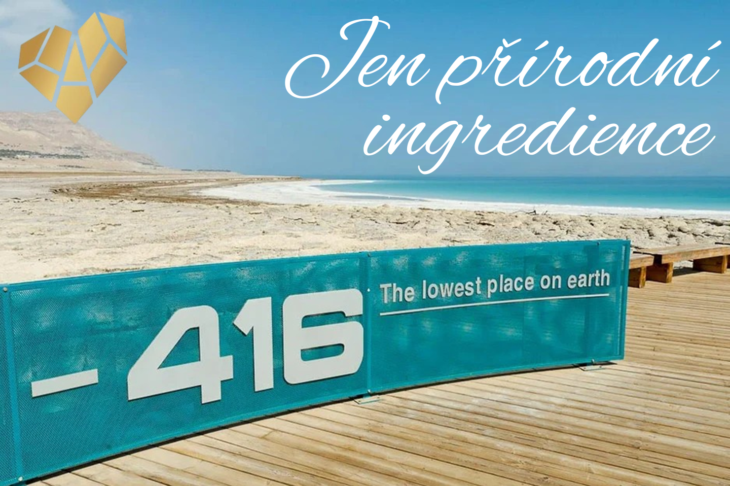 Canva Design (17)